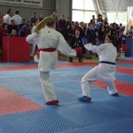 22-й турнир Chernivtsi Open 2017 — International Karate Cup собрал около 700 участников